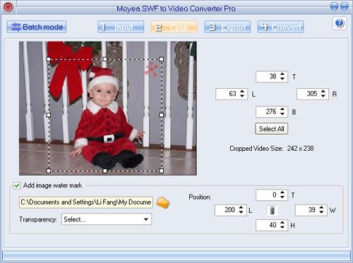 Moyea SWF to Video converter - crop