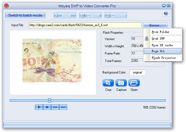 Convert Flash SWF to BMP Image