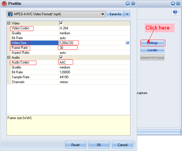 Flash to Ascend D1: Customize MP4 video