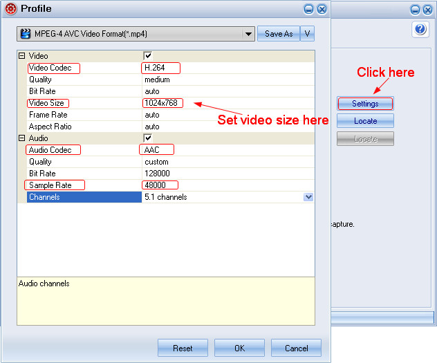 Customize output parameters for iPad mini