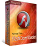 Moyea SWF to PSP Video Converter psp video converter -convert swf to psp mp4 video