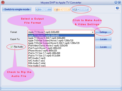 export settings - flash to appletv converter