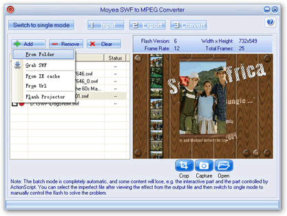 input files - flash to mepg converter