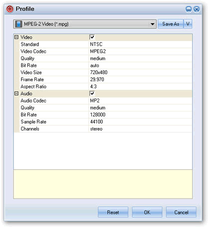 format settings - flash to mepg converter