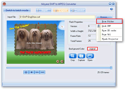 Single mode - flash to mepg converter