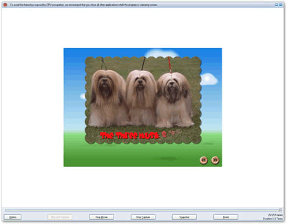 conversion - flash to mepg converter