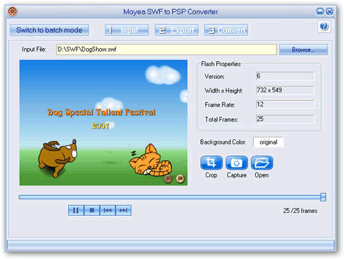 Screenshot of swf to psp video converter importing swf file Screenshot of swf to psp video converter importing swf file